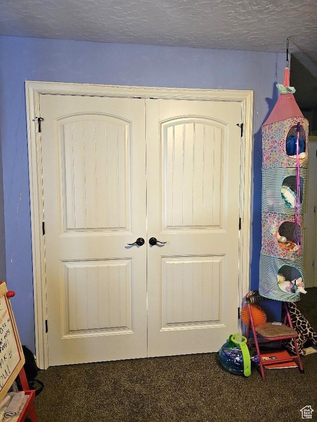 3788 S 410 W, Vernal, UT 84078 - detailed view of carpet