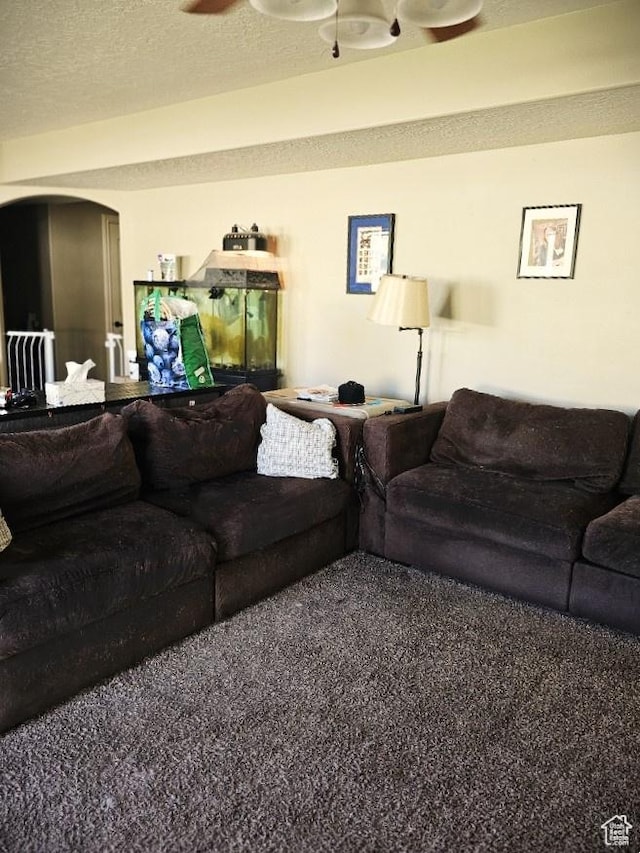 3788 S 410 W, Vernal, UT 84078 - carpeted living room featuring arched walkways and radiator heating unit