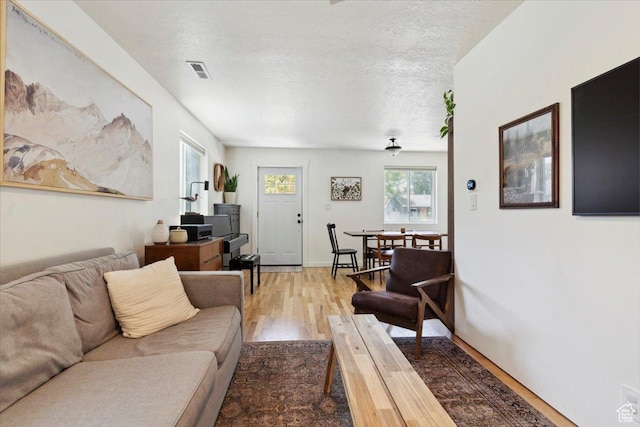 1142 W Fremont Ave, Salt Lake City, UT 84104 - living area with light wood-type flooring and a textured ceiling