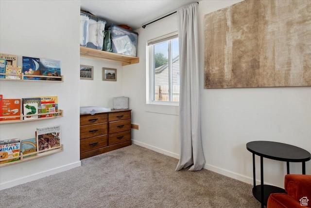 1142 W Fremont Ave, Salt Lake City, UT 84104 - living area featuring carpet flooring and baseboards