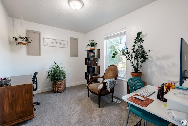 45 N Center St, Hyrum, UT 84319 - home office featuring carpet floors, baseboards, and a textured ceiling