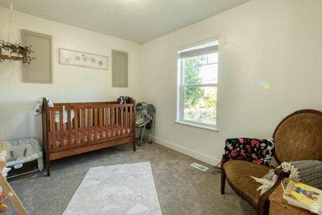 45 N Center St, Hyrum, UT 84319 - photo 12
