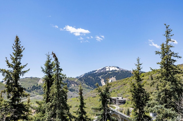 3390 Sun Ridge Dr, Park City, UT 84060 - photo 16