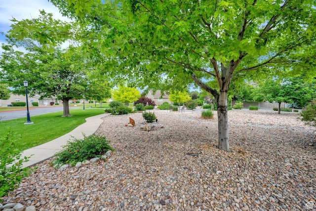 1502 W Cornerstone Dr, South Jordan, UT 84095 - view of grassy yard
