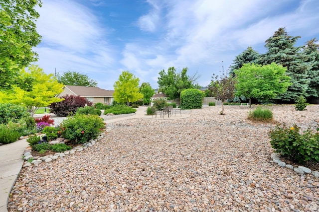 1502 W Cornerstone Dr, South Jordan, UT 84095 - view of yard with a patio
