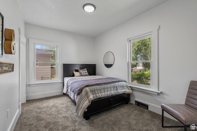 2955 S Jefferson Ave E, Ogden, UT 84403 - bedroom with carpet, multiple windows, and baseboards