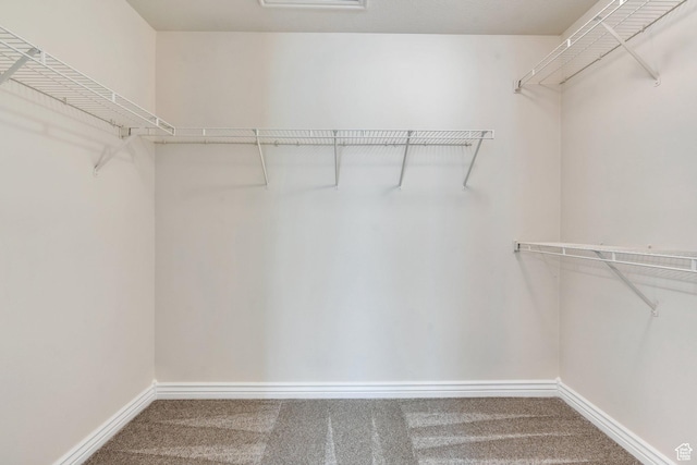 14069 S Rutherford Ave W, Bluffdale, UT 84065 - walk in closet featuring carpet floors
