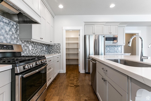 1065 S 425 W, Farmington, UT 84025 - kitchen with stainless steel appliances, premium range hood, a sink, dark wood-style flooring, and tasteful backsplash
