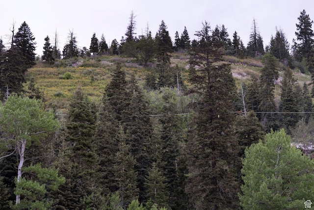 705 Parkview Dr, Summit Park, UT 84098 - view of wooded area