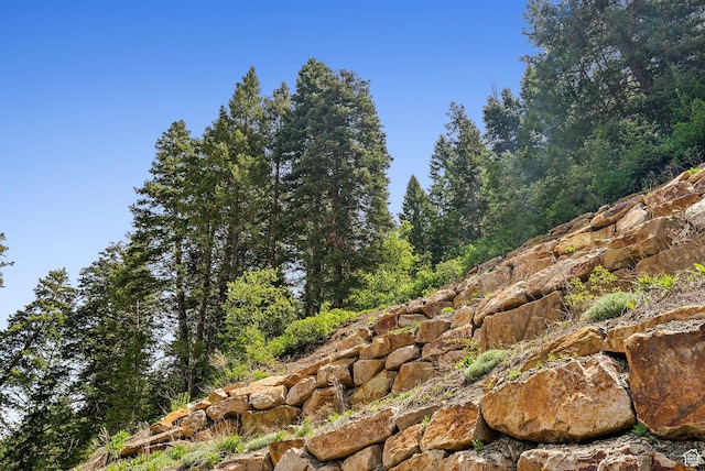 705 Parkview Dr, Summit Park, UT 84098 - view of nature