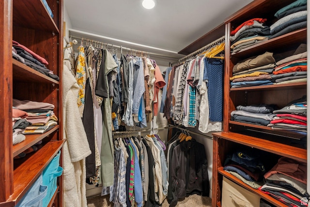 705 Parkview Dr, Summit Park, UT 84098 - view of spacious closet