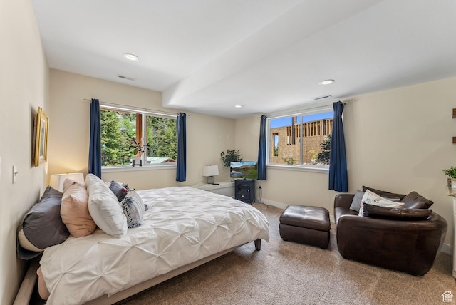 705 Parkview Dr, Summit Park, UT 84098 - bedroom with carpet, recessed lighting, and baseboards