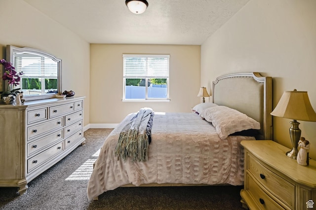 658 S 150 E, Smithfield, UT 84335 - bedroom featuring dark carpet, multiple windows, a textured ceiling, and baseboards