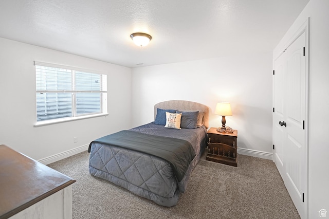 658 S 150 E, Smithfield, UT 84335 - carpeted bedroom with baseboards