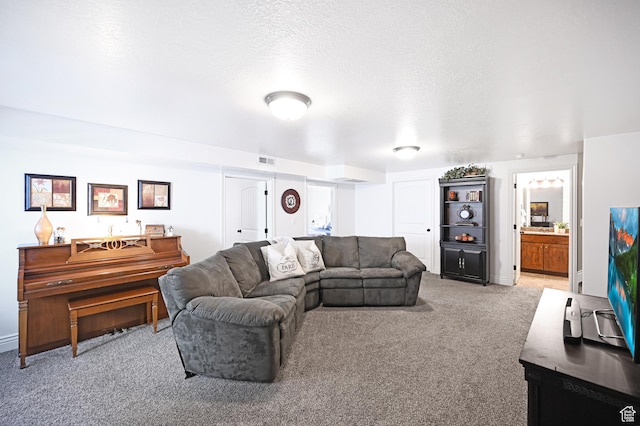 658 S 150 E, Smithfield, UT 84335 - living area with light colored carpet
