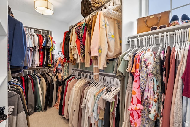 1295 E Granite Peak Rd, Eagle Mountain, UT 84005 - walk in closet with carpet