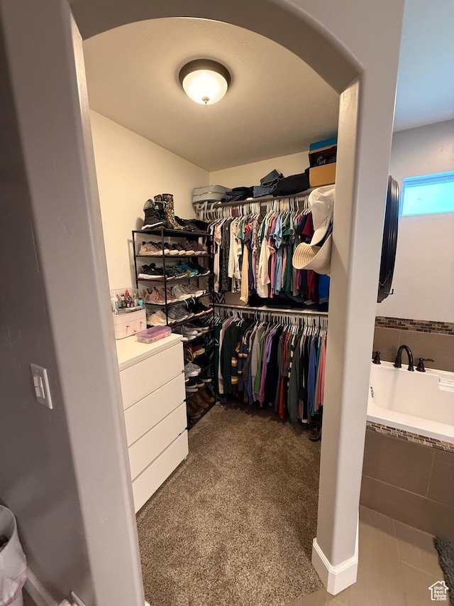 730 S 300 W, Garland, UT 84312 - spacious closet with arched walkways and carpet
