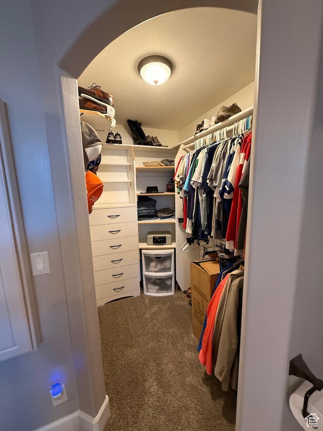 730 S 300 W, Garland, UT 84312 - spacious closet with carpet
