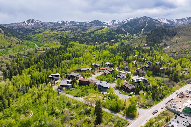 3474 Creek Crossing Dr Unit 1, Park City, UT 84098
