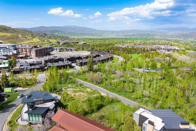 3474 Creek Crossing Dr Unit 1, Park City, UT 84098