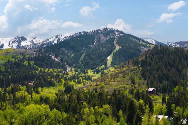 3474 Creek Crossing Dr Unit 1, Park City, UT 84098