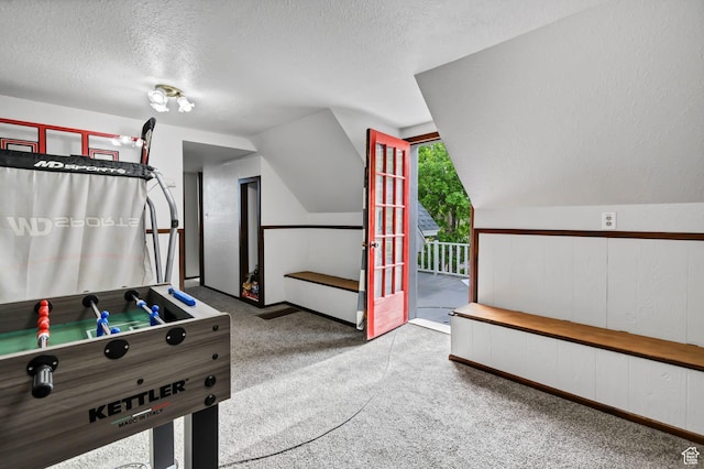1031 S Brooklyn Rd, Elsinore, UT 84724 - rec room with a textured ceiling, carpet flooring, and vaulted ceiling