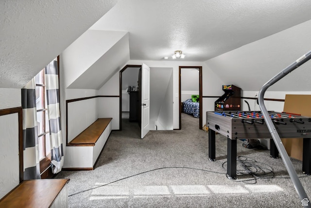 1031 S Brooklyn Rd, Elsinore, UT 84724 - recreation room with a textured ceiling, vaulted ceiling, and carpet flooring