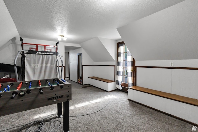 1031 S Brooklyn Rd, Elsinore, UT 84724 - recreation room featuring carpet flooring, a textured ceiling, and lofted ceiling