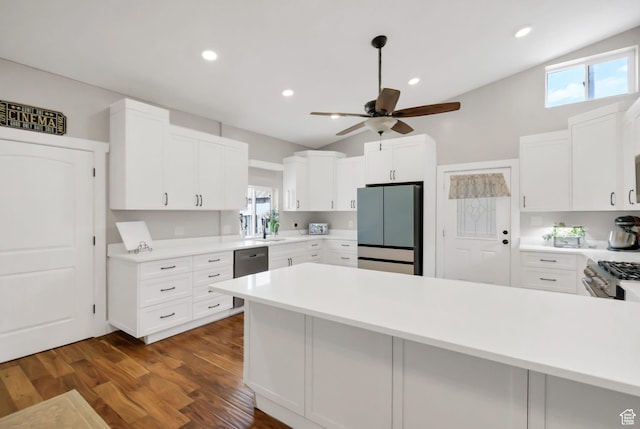 1031 S Brooklyn Rd, Elsinore, UT 84724 - kitchen with appliances with stainless steel finishes, lofted ceiling, a ceiling fan, dark wood-type flooring, and healthy amount of natural light