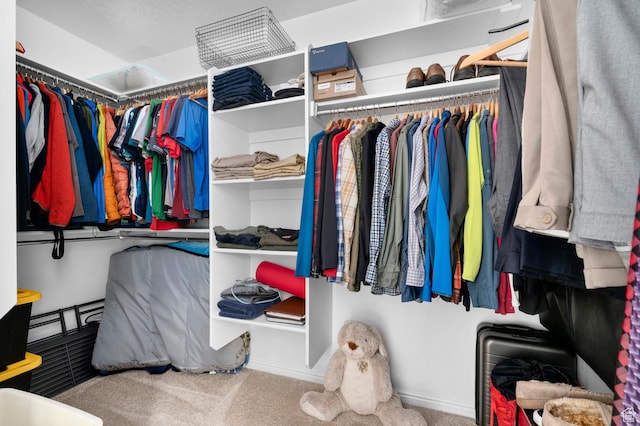 14585 S Delacroix Dr S, Draper, UT 84020 - spacious closet with carpet