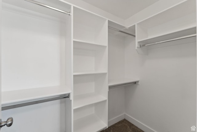 1184 S 2300 E, Spanish Fork, UT 84660 - spacious closet with dark carpet
