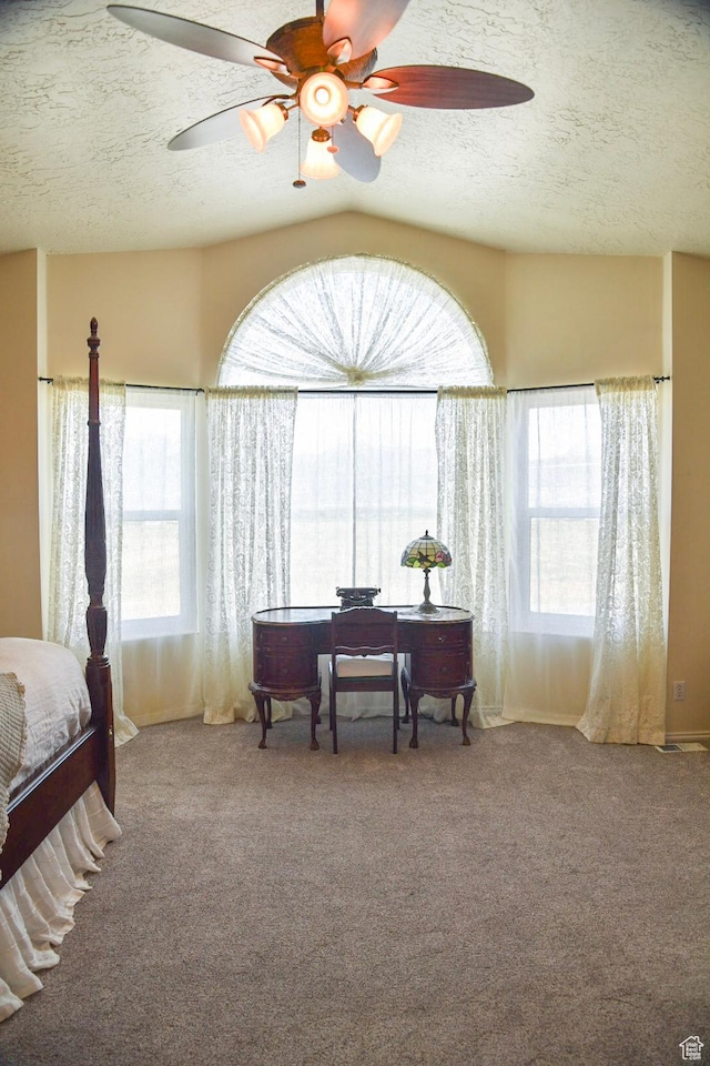 14114 S 3600 W, Bluffdale, UT 84065 - carpeted bedroom with a textured ceiling, multiple windows, an office area, and ceiling fan