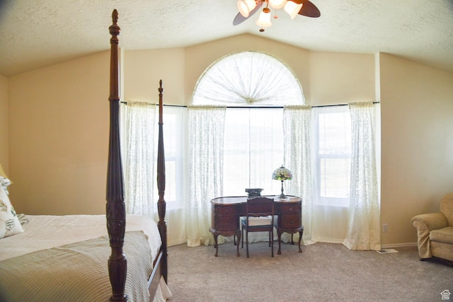 14114 S 3600 W, Bluffdale, UT 84065 - bedroom featuring vaulted ceiling, multiple windows, carpet flooring, and a textured ceiling
