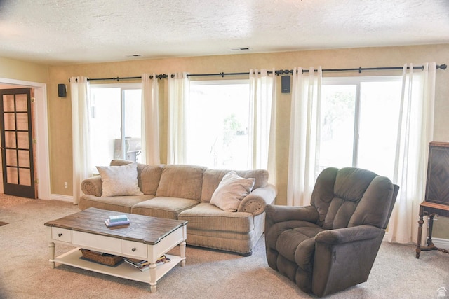 14114 S 3600 W, Bluffdale, UT 84065 - carpeted living area featuring a textured ceiling, plenty of natural light, and baseboards