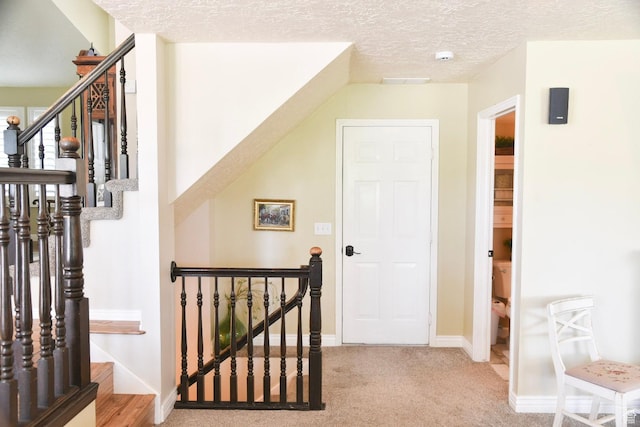 14114 S 3600 W, Bluffdale, UT 84065 - stairs featuring carpet, a textured ceiling, and baseboards
