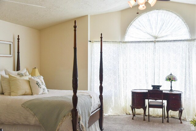 14114 S 3600 W, Bluffdale, UT 84065 - bedroom featuring carpet flooring and a textured ceiling