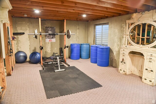 14114 S 3600 W, Bluffdale, UT 84065 - exercise room featuring carpet flooring