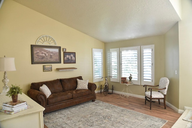 14114 S 3600 W, Bluffdale, UT 84065 - living area with wood finished floors, baseboards, a textured ceiling, and lofted ceiling