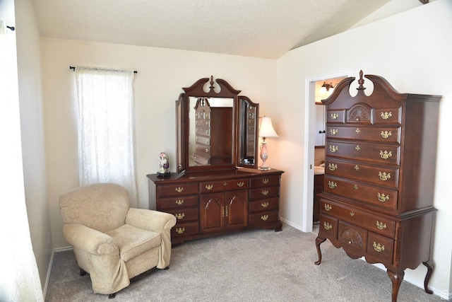 14114 S 3600 W, Bluffdale, UT 84065 - living area with light carpet