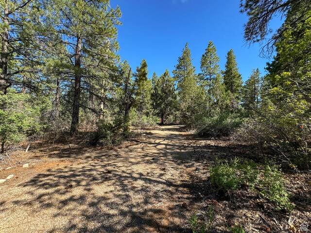 11630 Cedar Rd W Unit 20, Orderville, UT 84758 - photo 4