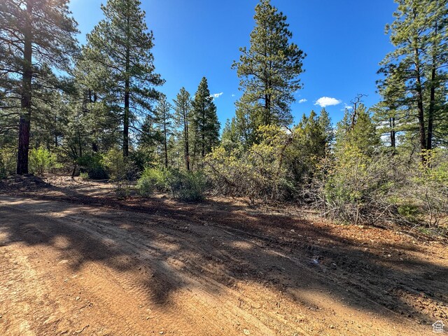 11630 Cedar Rd W Unit 20, Orderville, UT 84758 - photo 2