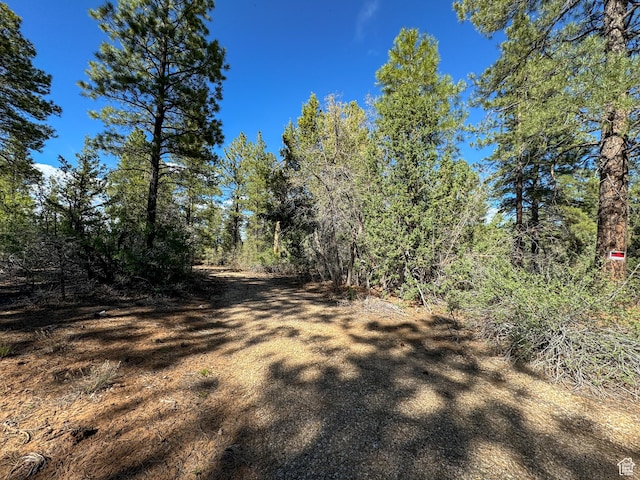 11630 Cedar Rd W Unit 20, Orderville, UT 84758 - photo 3