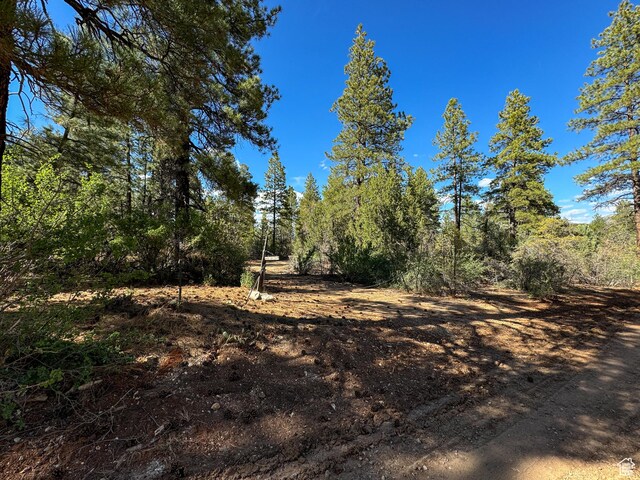 11630 Cedar Rd W Unit 20, Orderville, UT 84758 - photo 5