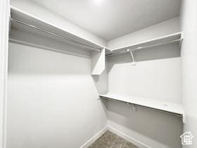 11197 S Rummy Way S, South Jordan, UT 84009 - view of spacious closet