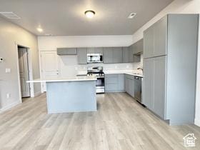 11197 S Rummy Way S, South Jordan, UT 84009 - kitchen featuring stainless steel appliances, gray cabinetry, light wood-style floors, and light countertops