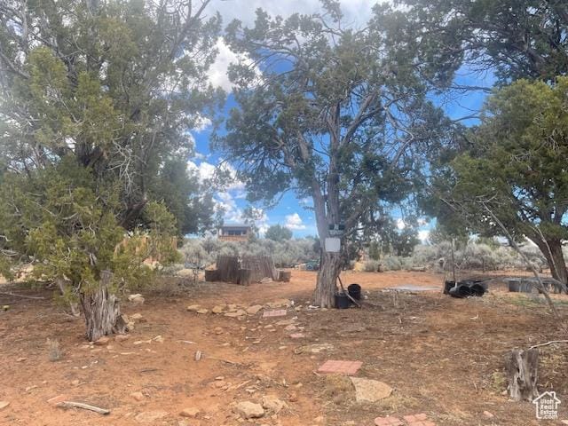 123 E Hickman Flats Rd, Monticello, UT 84535