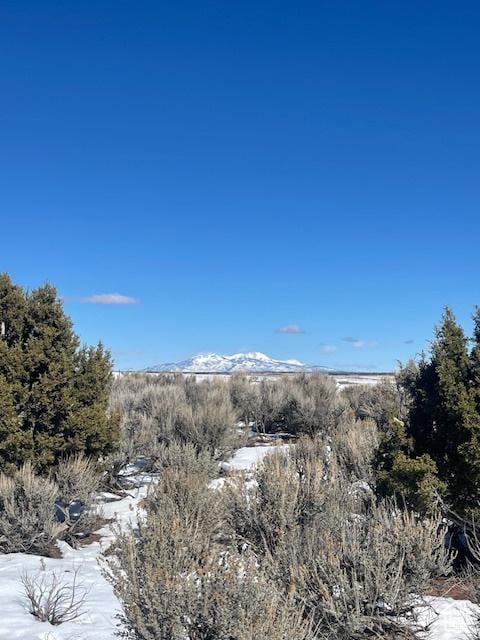 123 E Hickman Flats Rd, Monticello, UT 84535