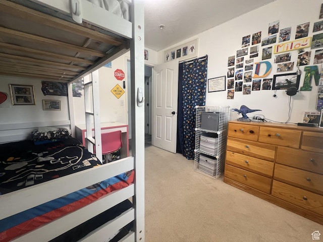 865 E 980 N, Tooele, UT 84074 - bedroom with carpet