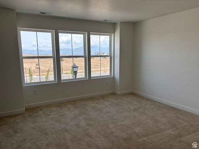 6907 W S Jordan Pkwy, South Jordan, UT 84009 - empty room featuring carpet flooring, baseboards, a mountain view, and a textured ceiling
