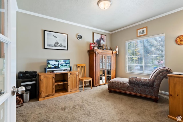 6512 S Timpanogos Way W, Taylorsville, UT 84129 - sitting room featuring ornamental molding and light carpet